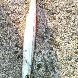 青物シーズンに使ってみたい、ジャックアイグロッキー　【ハヤブサ（Hayabusa）　ジャックアイグロッキー　インプレッション】