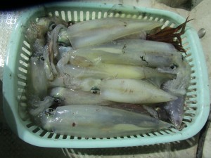 兼六丸 釣果