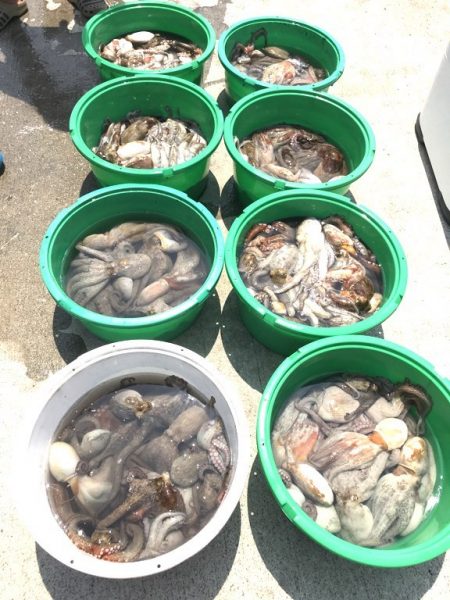 釣り船角田 釣果