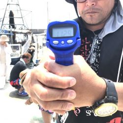 釣り船角田 釣果