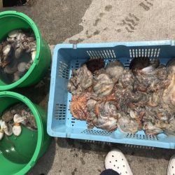 釣り船角田 釣果