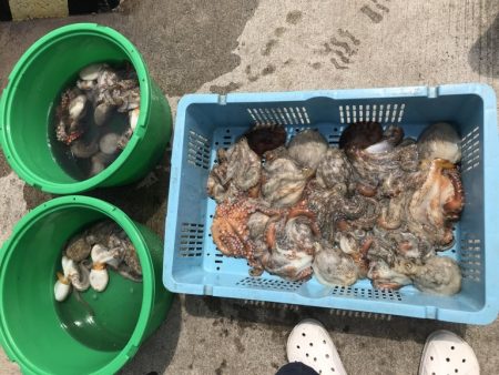 釣り船角田 釣果