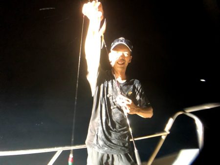 オーシャンズ　京都 釣果