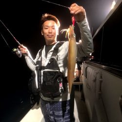 オーシャンズ　京都 釣果