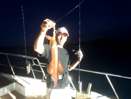 オーシャンズ　京都 釣果