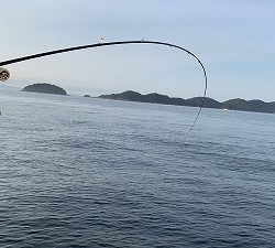 フィシングボートAir(エアー) 釣果