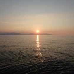 Aquanaut（アクアノート） 釣果