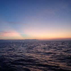 Aquanaut（アクアノート） 釣果