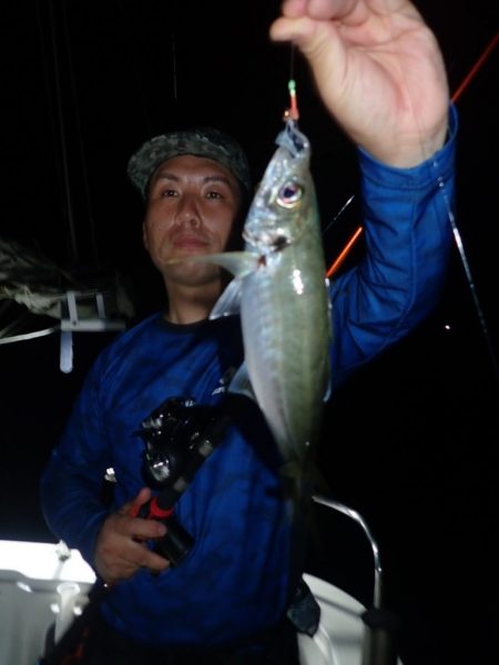 Aquanaut（アクアノート） 釣果