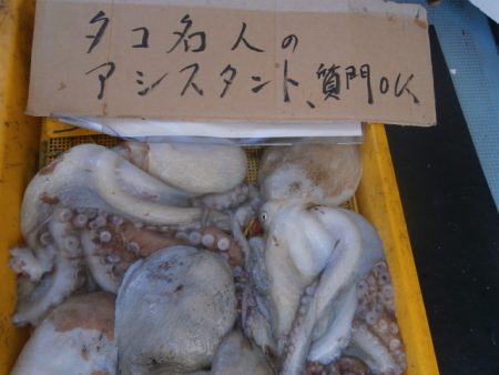 まとばや 釣果