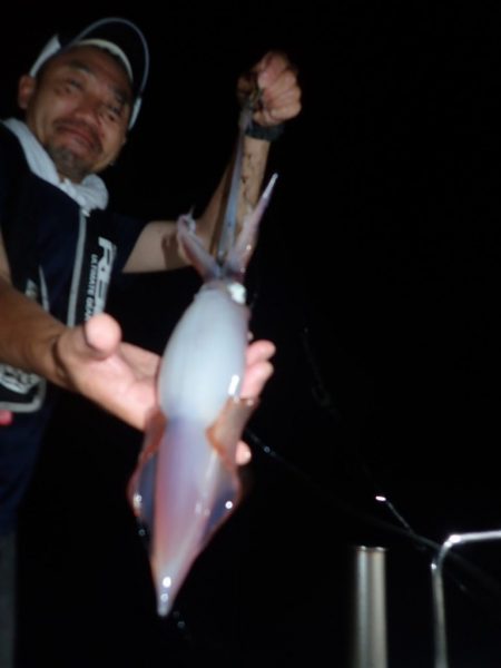 Aquanaut（アクアノート） 釣果