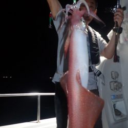 Aquanaut(アクアノート) 釣果