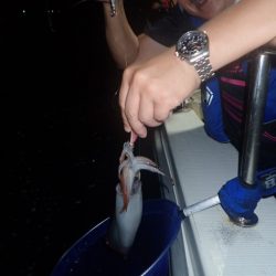 Aquanaut(アクアノート) 釣果