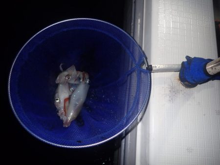 Aquanaut(アクアノート) 釣果