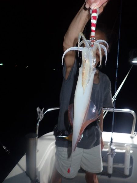 Aquanaut(アクアノート) 釣果