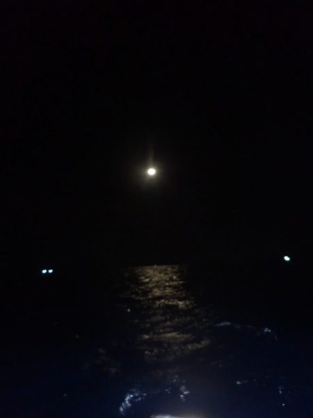 Aquanaut(アクアノート) 釣果