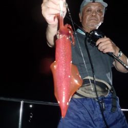 Aquanaut(アクアノート) 釣果