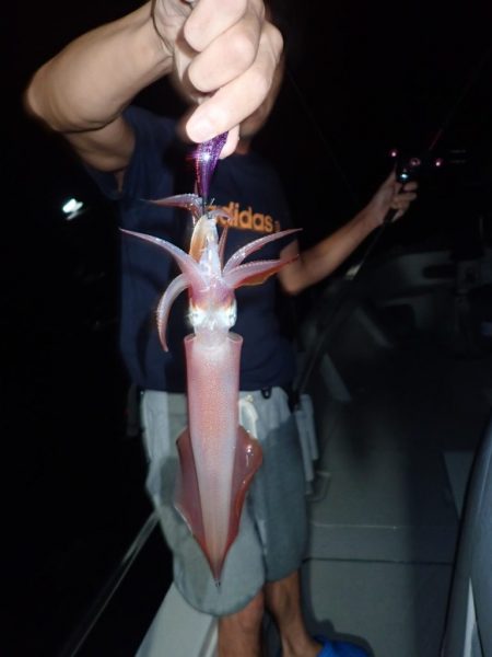 Aquanaut(アクアノート) 釣果