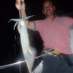 Aquanaut(アクアノート) 釣果