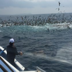 松栄丸 釣果