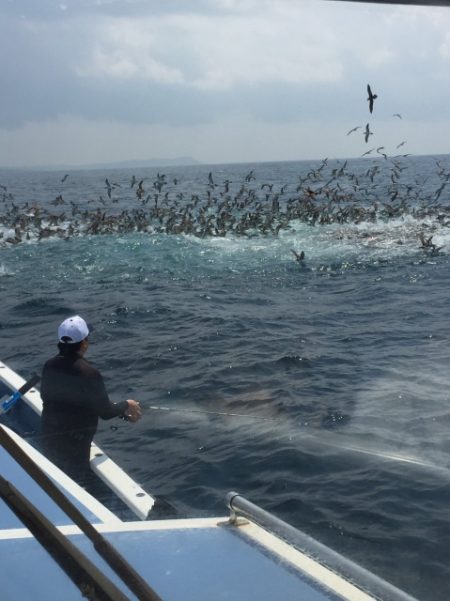 松栄丸 釣果