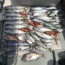 さぶろう丸 釣果