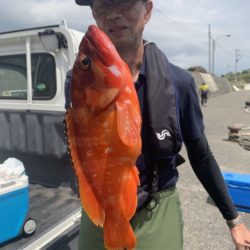 松栄丸 釣果