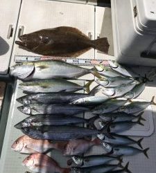 さぶろう丸 釣果