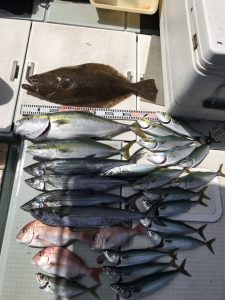 さぶろう丸 釣果