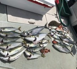 さぶろう丸 釣果