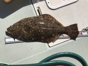 さぶろう丸 釣果