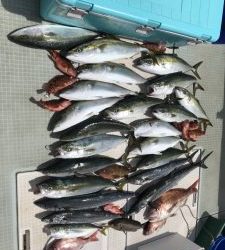 さぶろう丸 釣果