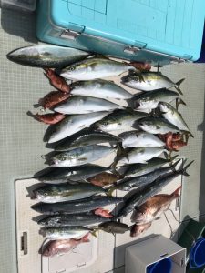 さぶろう丸 釣果