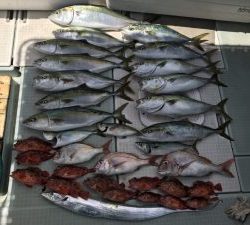 さぶろう丸 釣果