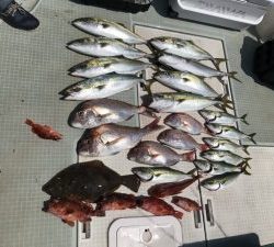 さぶろう丸 釣果