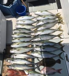 さぶろう丸 釣果