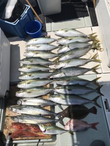 さぶろう丸 釣果