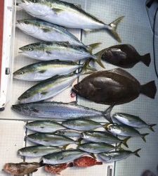 さぶろう丸 釣果