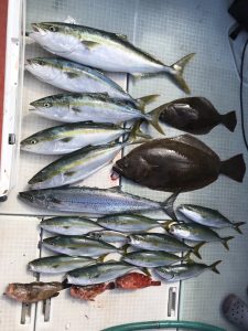 さぶろう丸 釣果