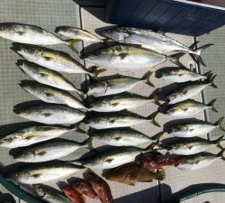 さぶろう丸 釣果