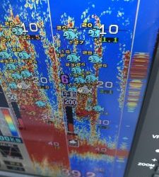 さぶろう丸 釣果