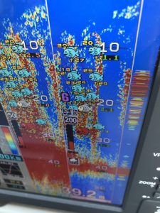 さぶろう丸 釣果