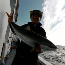 ファイヤードルフィン 釣果