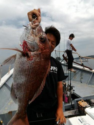 ファイヤードルフィン 釣果