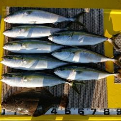 火遠理丸(ほおりまる) 釣果