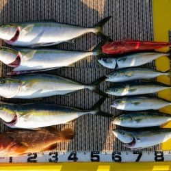 火遠理丸(ほおりまる) 釣果