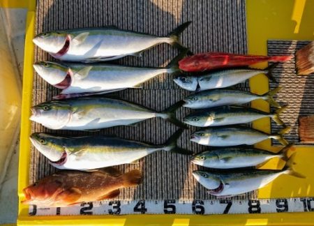 火遠理丸(ほおりまる) 釣果