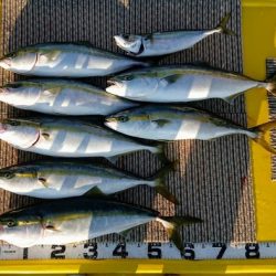 火遠理丸(ほおりまる) 釣果