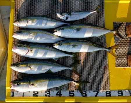 火遠理丸(ほおりまる) 釣果