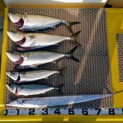 火遠理丸(ほおりまる) 釣果